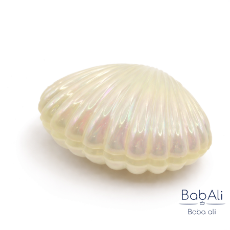 12صدف حجم صغير